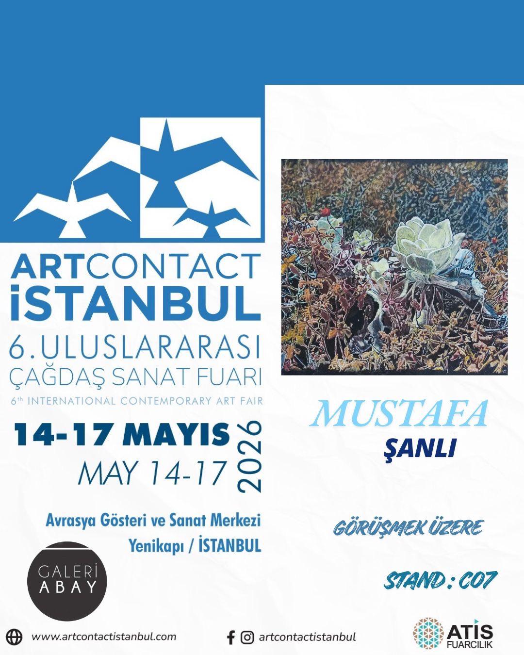 İstanbul Art Contact 2026
